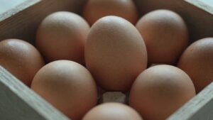 Where to Find Quality Gamefowl Eggs for Sale Online