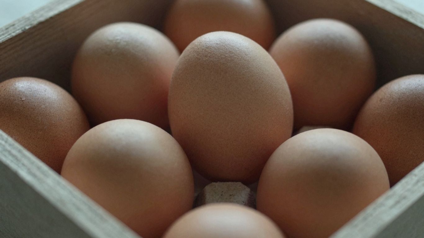 Quality gamefowl eggs for sale online in a crate.